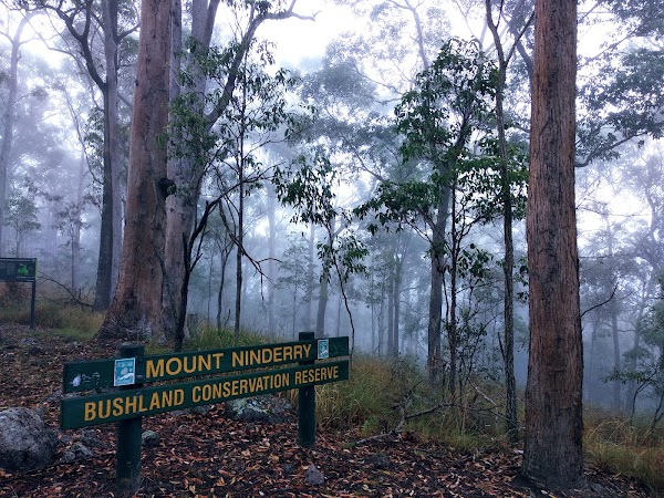Mount Ninderry walking track 2
