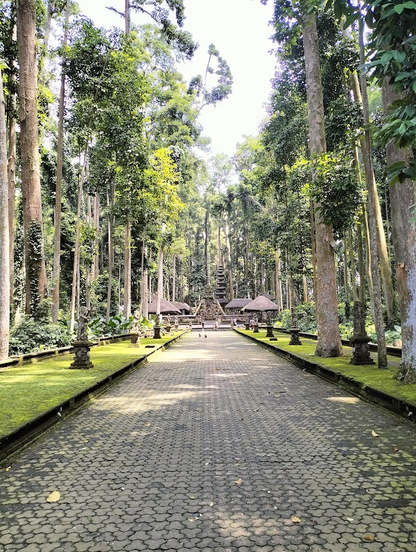 Sangeh Monkey Forest 5