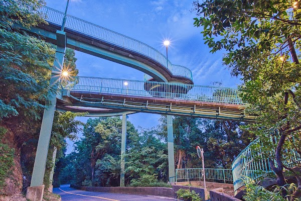 Venus Bridge 5