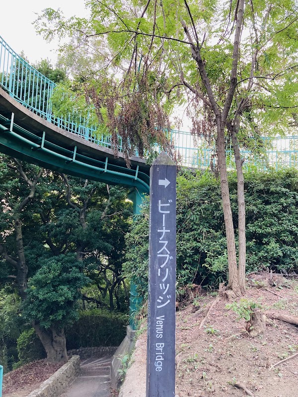 Venus Bridge 3