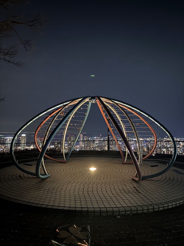 Venus Bridge 2
