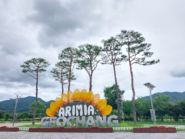 거창 창포원