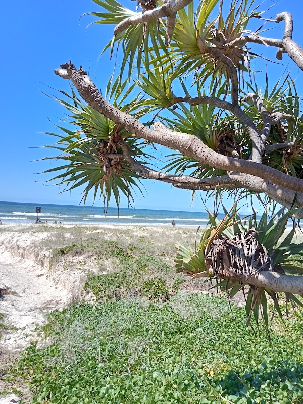 Miami 5
