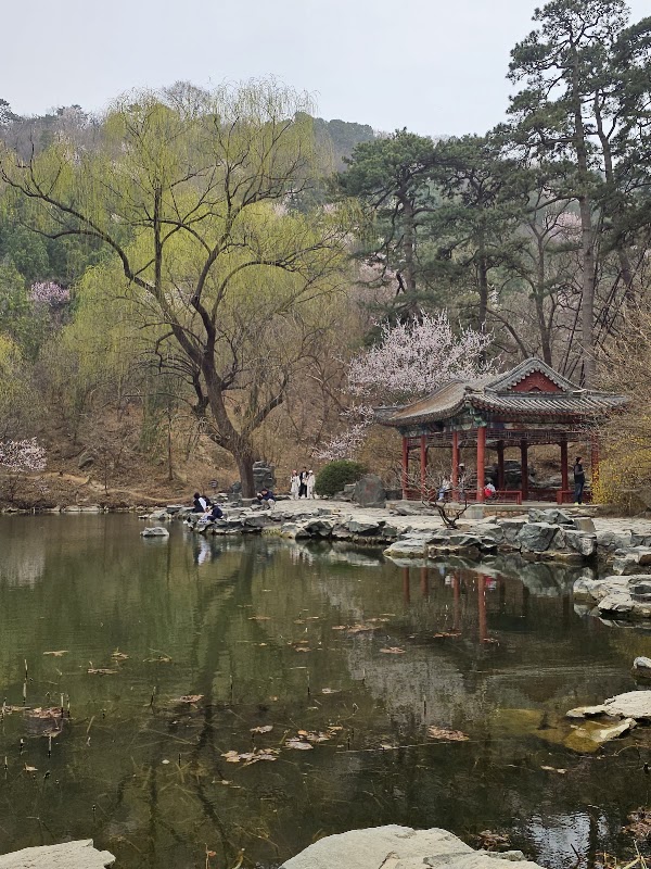 Fragrant Hills Park （East Gate 2） 3