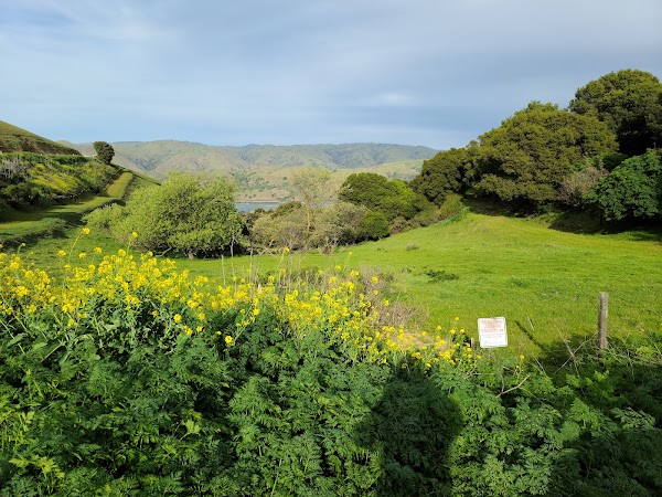 Calaveras Road 5