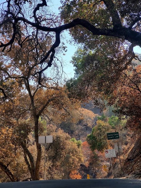 Calaveras Road 3