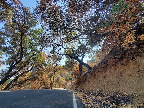 Calaveras Road 2