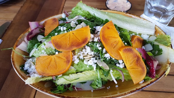 Cicchetti 5