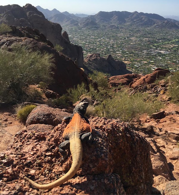 Camelback Mountain 2