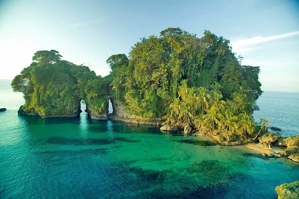 Bird Island 1