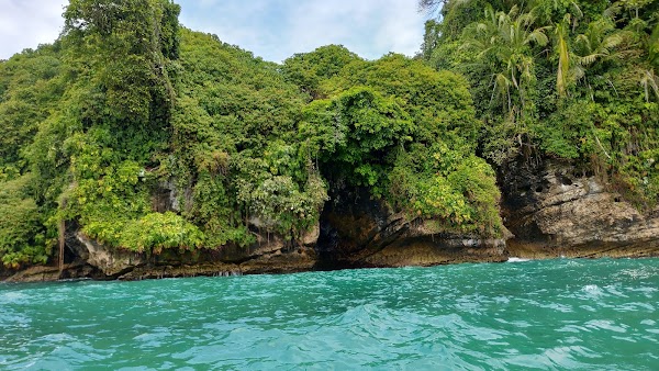 Bird Island 5