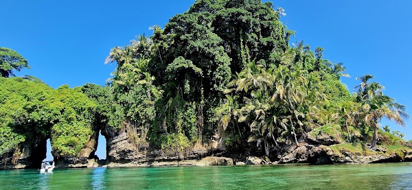 Bird Island 4