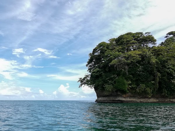 Bird Island 3
