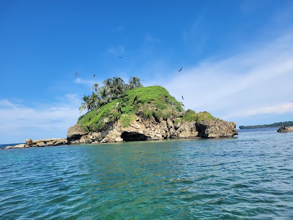 Bird Island 2