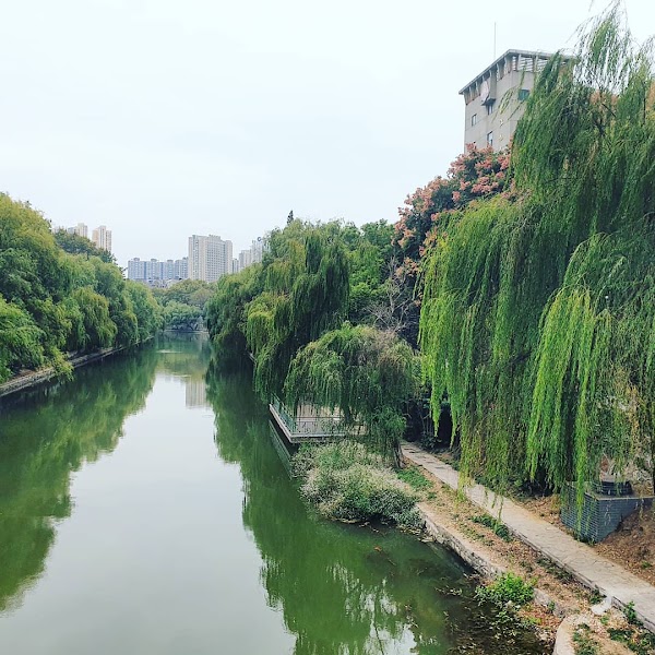 Zhenjiang 3
