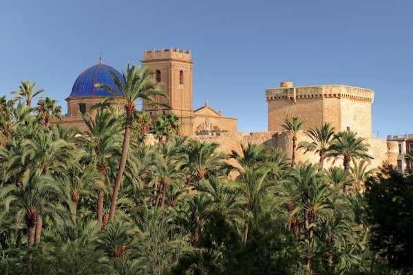 Elche