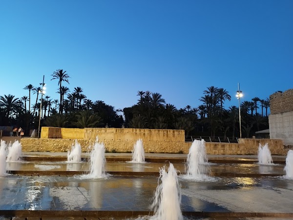 Elche 5