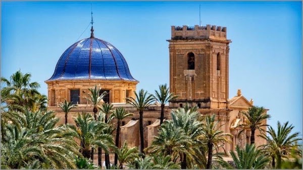 Elche 3