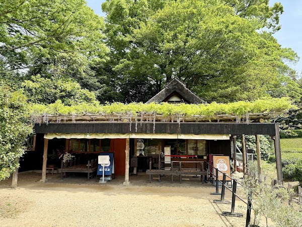 FUKUDA Tea-House 3