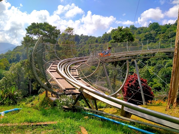 Pong Yang Jungle Coaster & Zipline