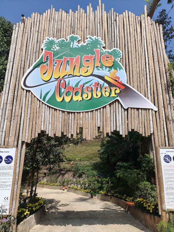 Pong Yang Jungle Coaster & Zipline 4