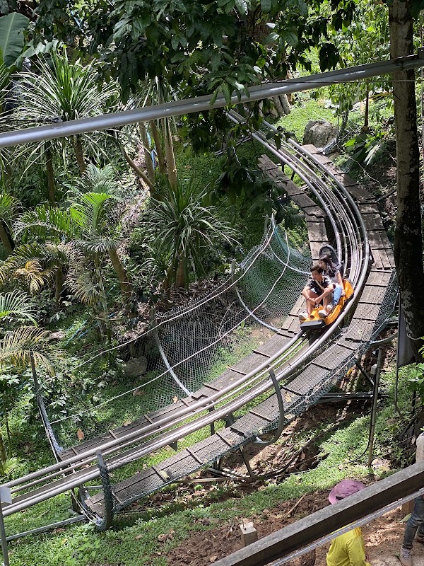 Pong Yang Jungle Coaster & Zipline 2