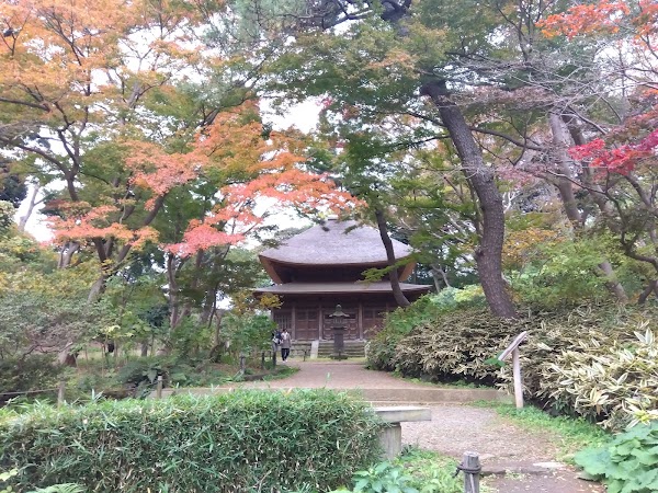 Sankeien Garden 4
