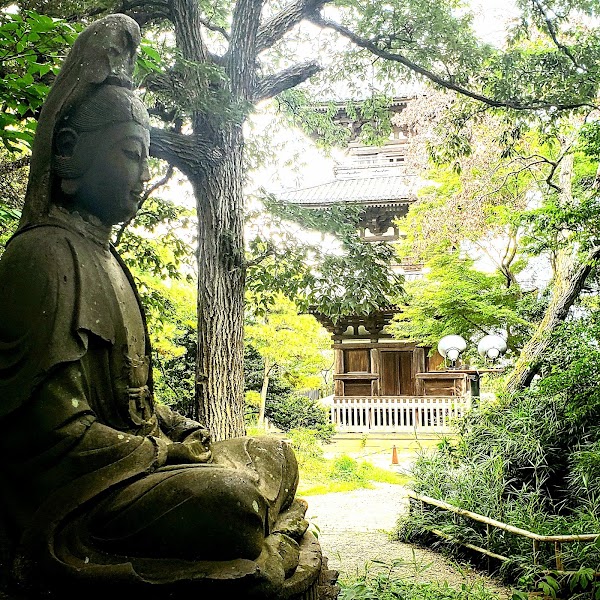 Sankeien Garden 2