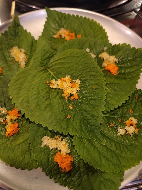 불난배꼽 대구평리점 5