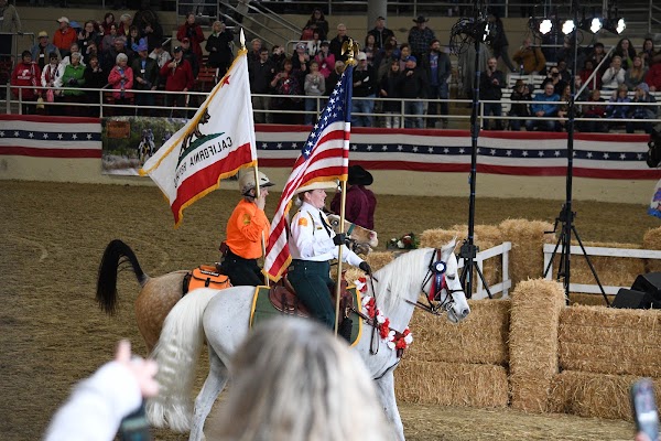 Los Angeles Equestrian Center 5