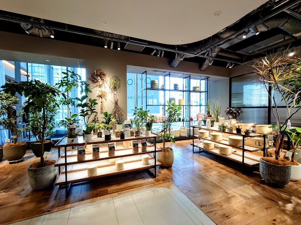 The Conran Shop Tokyo Store 3