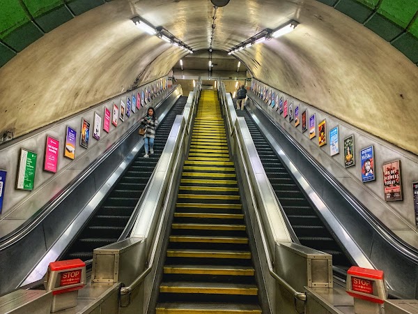 Warwick Avenue 5