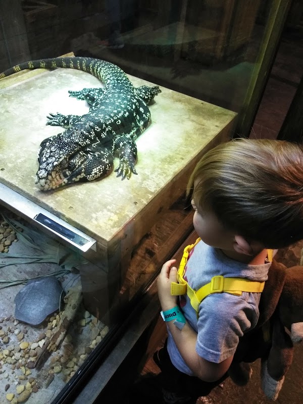 Orlando Science Center 3