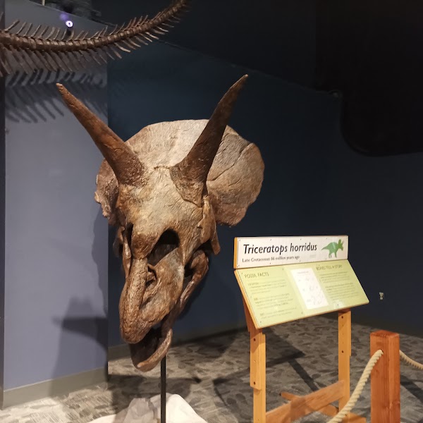 Orlando Science Center 2
