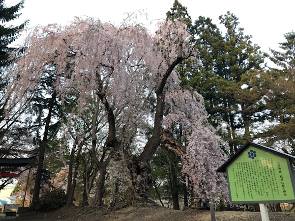 Aomori 5