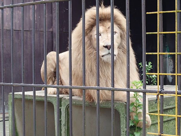 Tohoku Safari Park