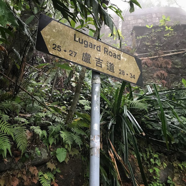 Lugard Road Lookout 2