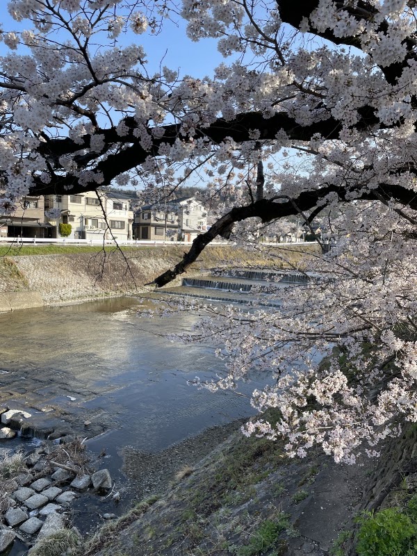 Takano River
