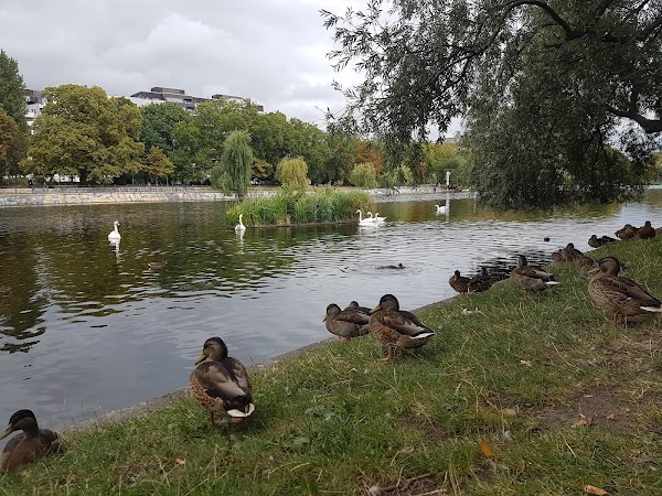 Landwehrkanalufer