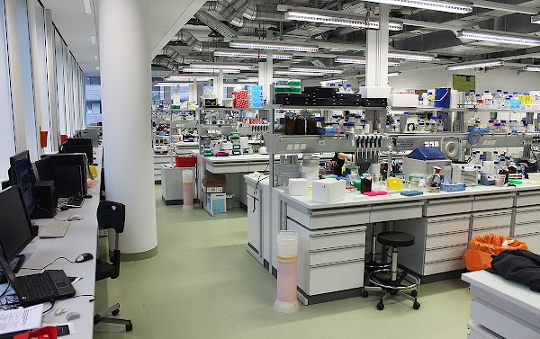 Research Institute of Molecular Pathology (IMP) 2