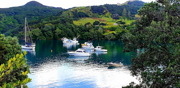 Great Barrier Island