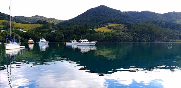 Great Barrier Island 2