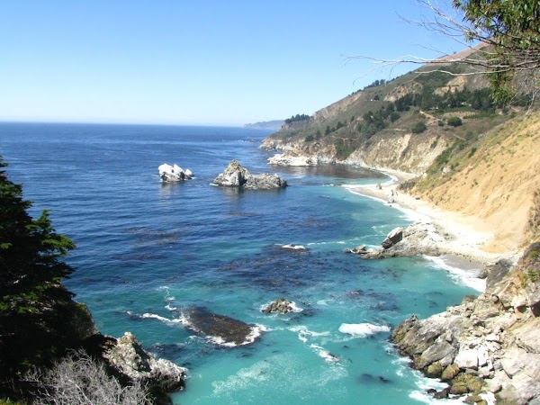 Julia Pfeiffer Burns State Park 5