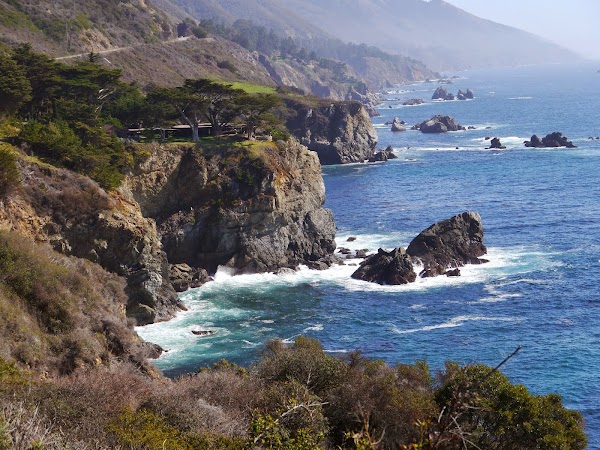 Julia Pfeiffer Burns State Park 3