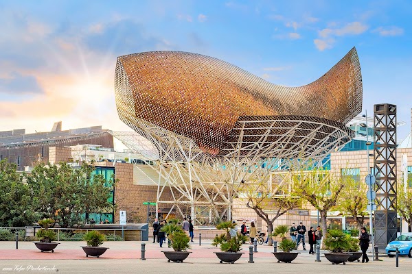 El Peix d'Or Frank Gehry