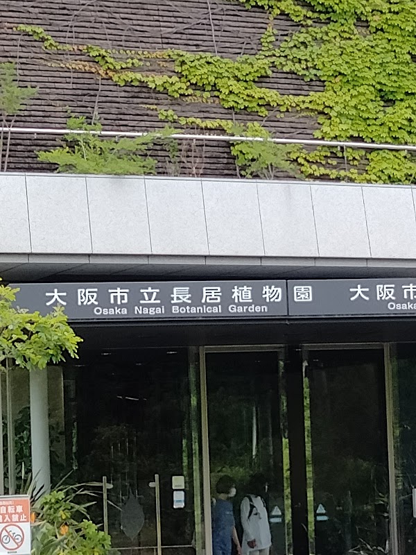 Iris Garden