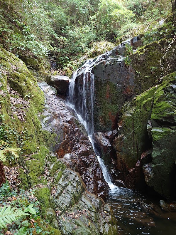 Narumi Falls 1