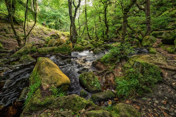 Burbage Brook