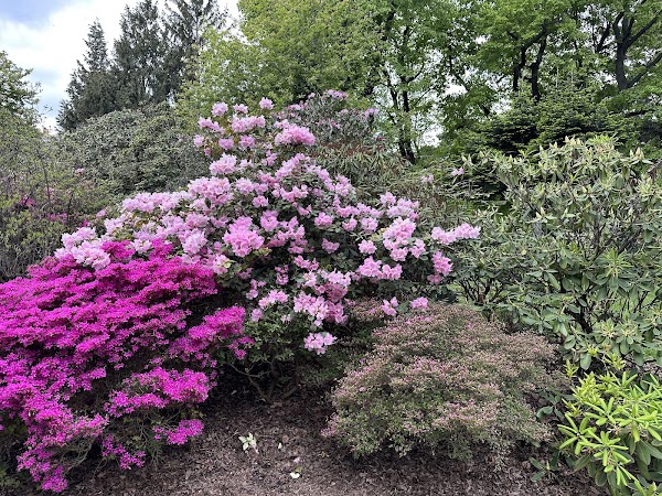Botanical Garden 3
