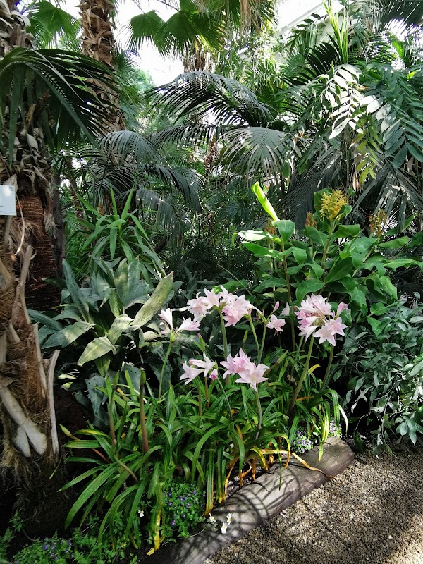 Botanical Garden 2